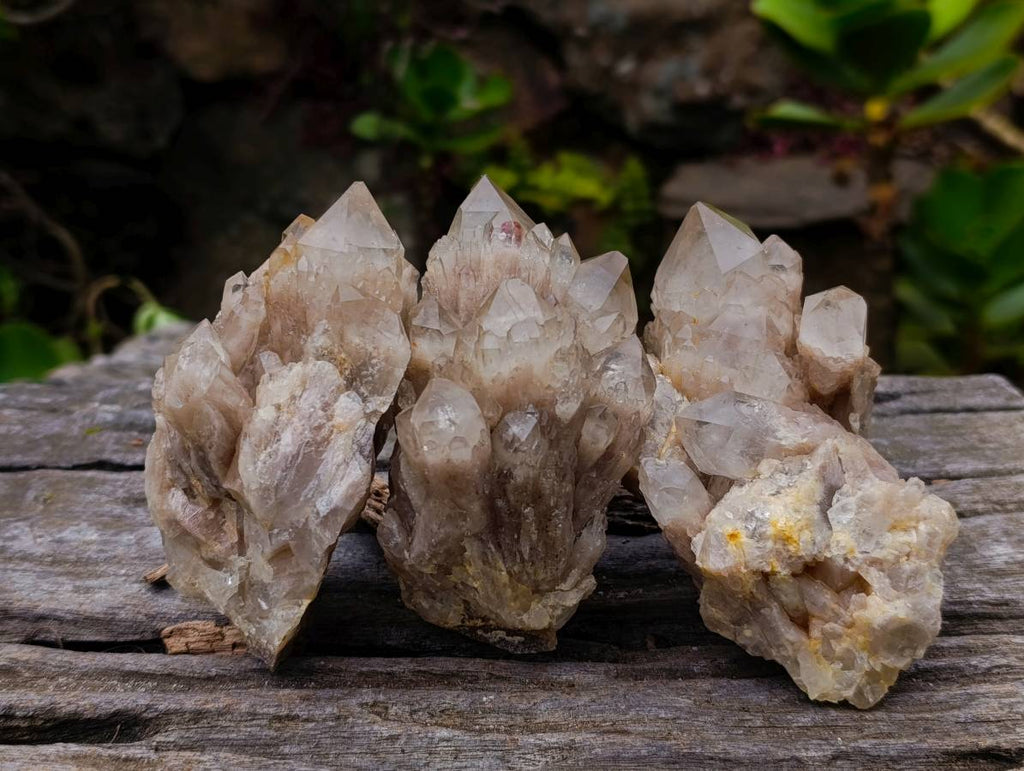 Natural Phantom Smokey Quartz Clusters x 6 From Luena, Congo - Toprock Gemstones and Minerals 