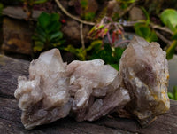 Natural Phantom Smokey Quartz Clusters x 6 From Luena, Congo