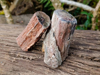 Polished On One Side Petrified Wood x 6 From Gokwe, Zimbabwe - Toprock Gemstones and Minerals 