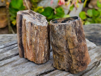 Polished On One Side Petrified Wood x 6 From Gokwe, Zimbabwe - Toprock Gemstones and Minerals 