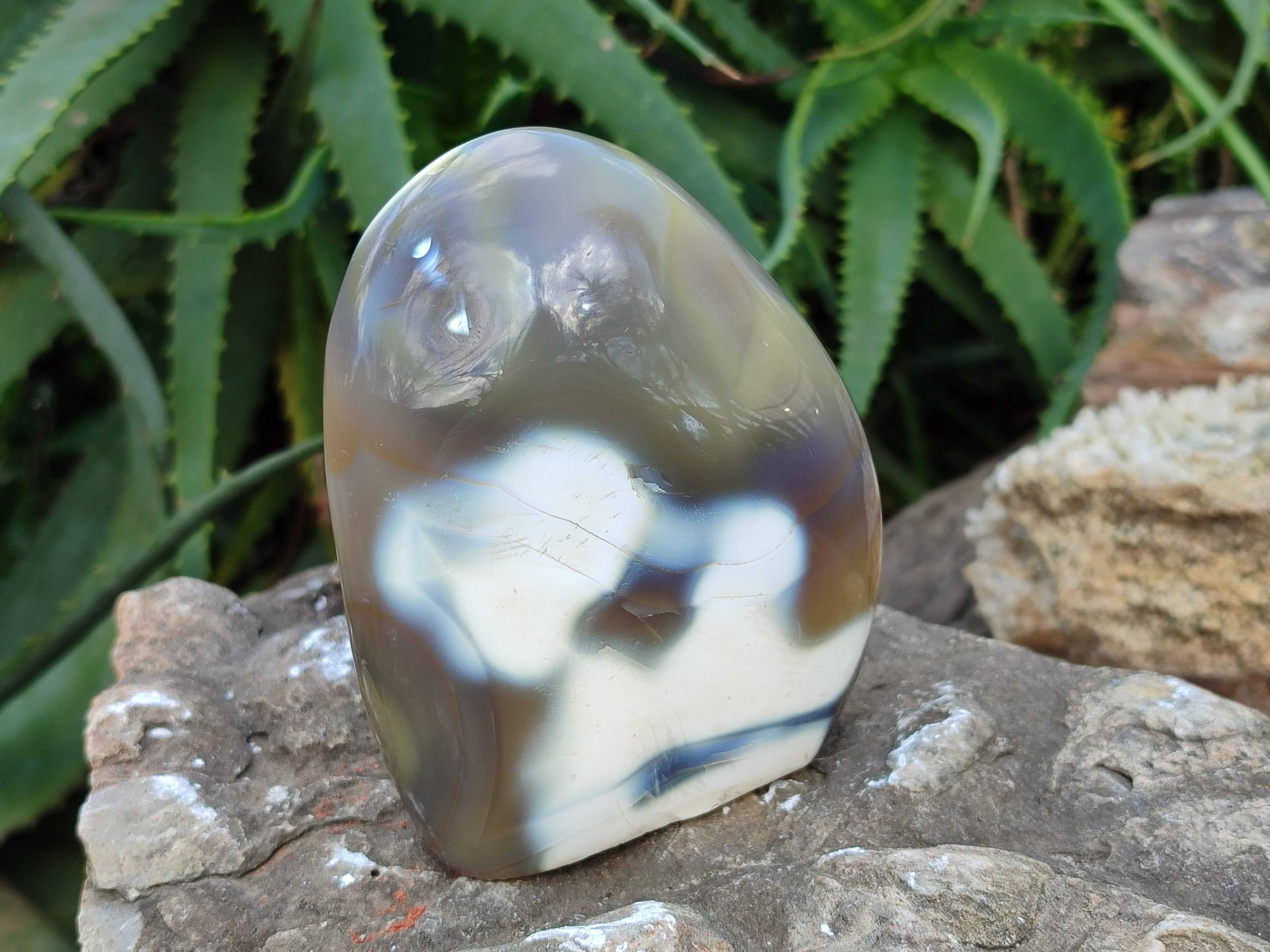 Polished Banded Agate Standing Free Forms x 3 From Madagascar - Toprock Gemstones and Minerals 