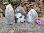 Polished Banded Agate Standing Free Forms x 3 From Madagascar - Toprock Gemstones and Minerals 