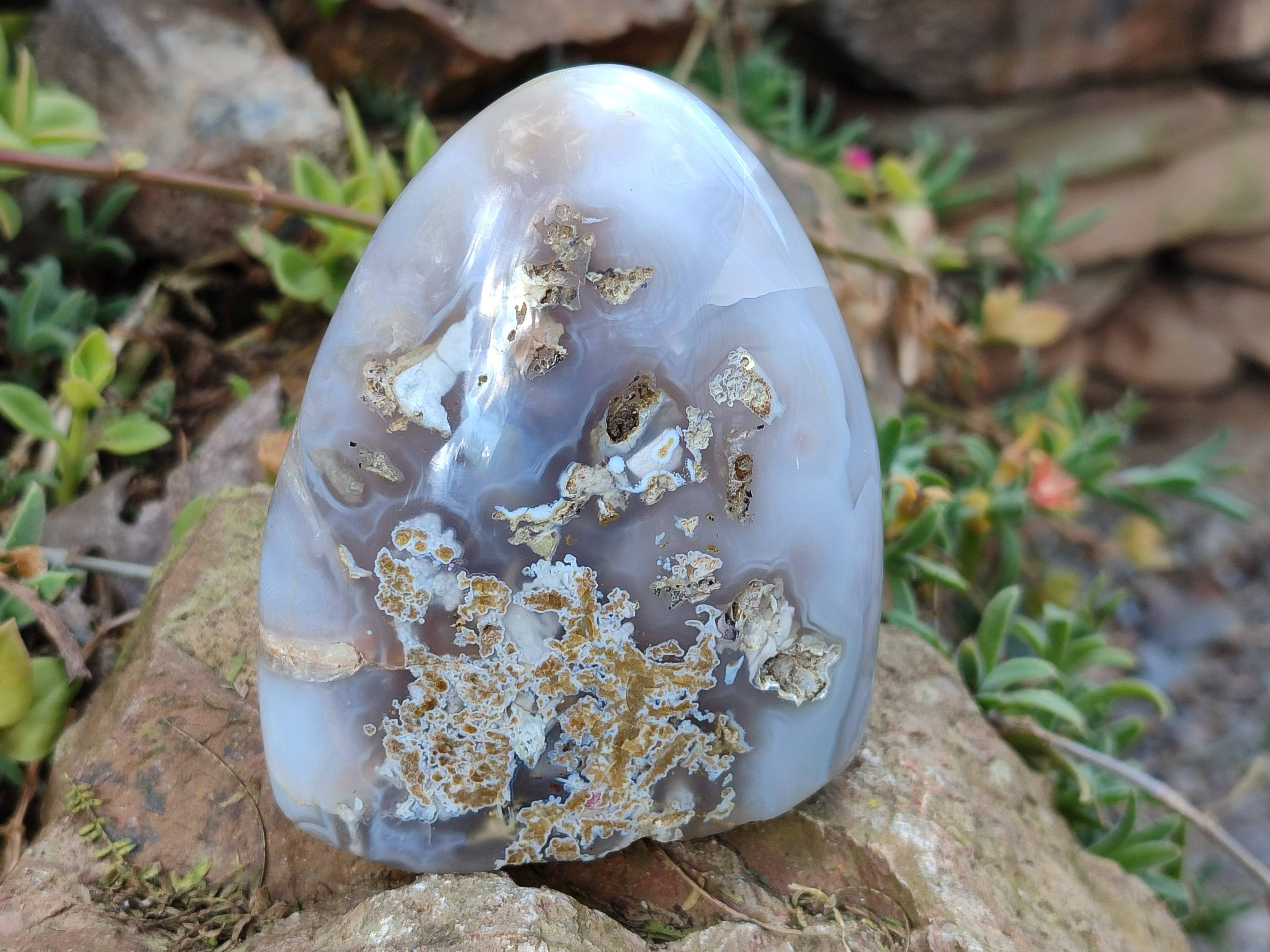 Polished Banded Agate Standing Free Forms x 3 From Madagascar - Toprock Gemstones and Minerals 