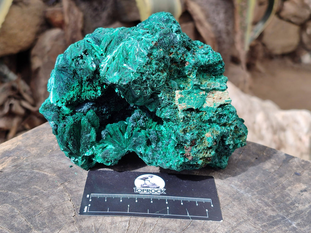 Natural Silky Malachite Specimens x 2 From Kasompe, Congo - Toprock Gemstones and Minerals 