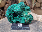 Natural Silky Malachite Specimens x 2 From Kasompe, Congo - Toprock Gemstones and Minerals 