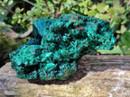 Natural Silky Malachite Specimens x 2 From Kasompe, Congo - Toprock Gemstones and Minerals 