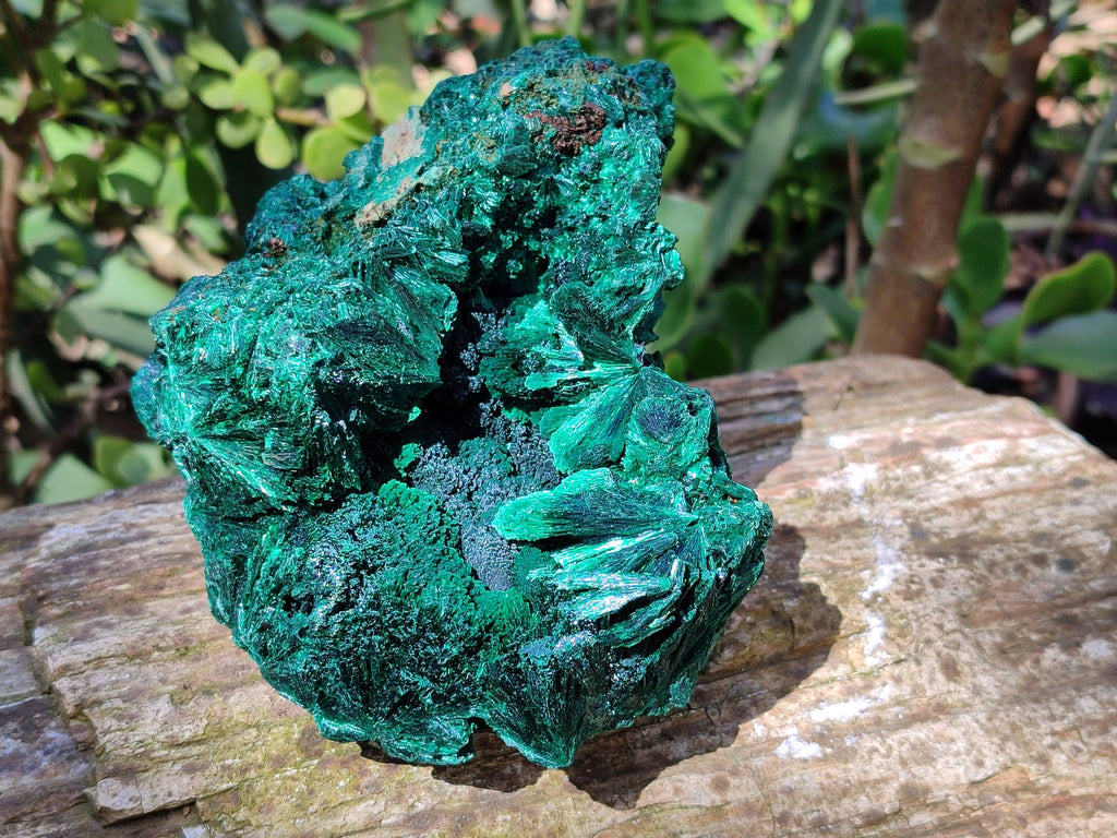 Natural Silky Malachite Specimens x 2 From Kasompe, Congo - Toprock Gemstones and Minerals 