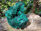 Natural Silky Malachite Specimens x 2 From Kasompe, Congo - Toprock Gemstones and Minerals 