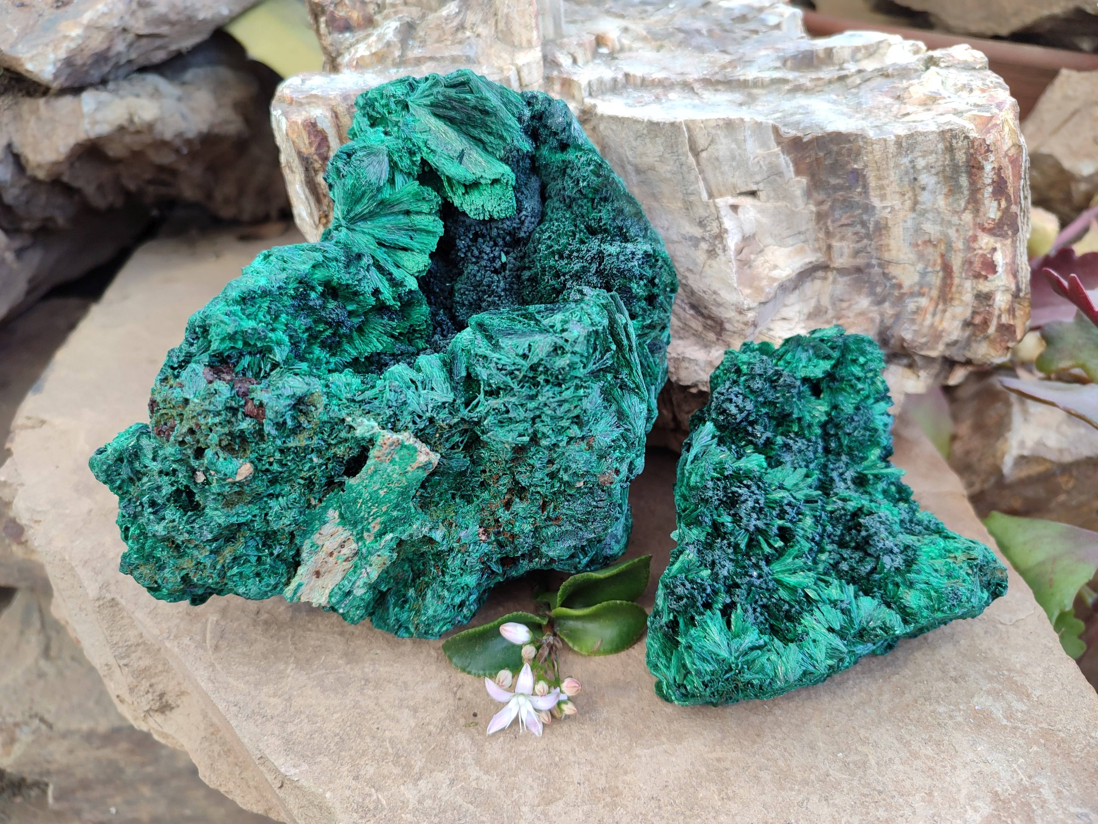 Natural Silky Malachite Specimens x 2 From Kasompe, Congo - Toprock Gemstones and Minerals 
