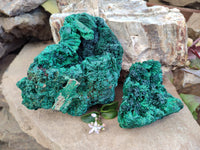 Natural Silky Malachite Specimens x 2 From Kasompe, Congo
