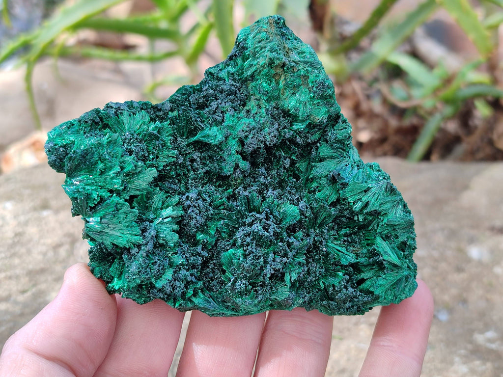 Natural Silky Malachite Specimens x 2 From Kasompe, Congo - Toprock Gemstones and Minerals 