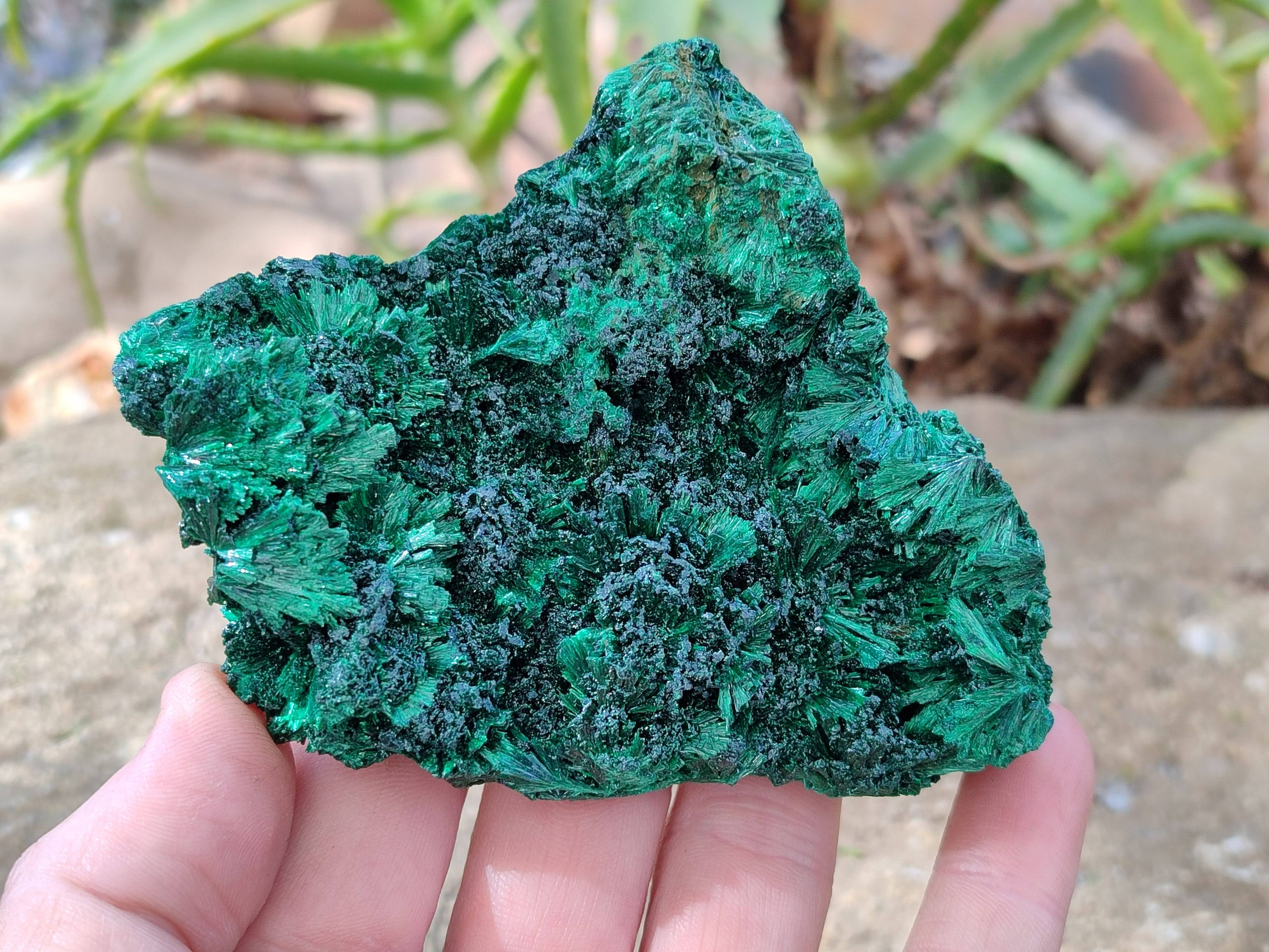 Natural Silky Malachite Specimens x 2 From Kasompe, Congo - Toprock Gemstones and Minerals 