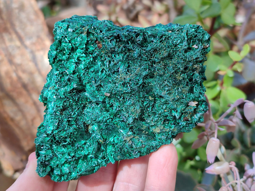 Natural Silky Malachite Specimens x 2 From Kasompe, Congo - Toprock Gemstones and Minerals 