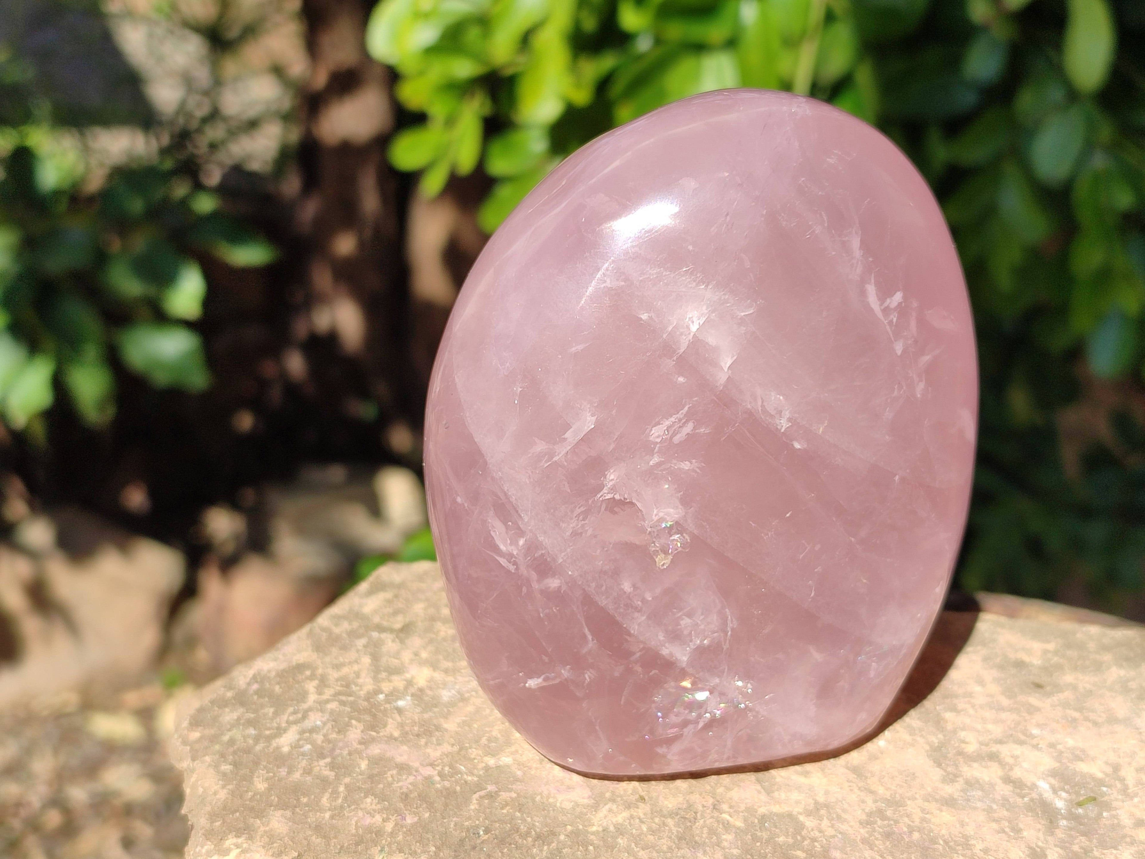 Polished Star Rose Quartz Standing Free Forms x 2 From Madagascar - Toprock Gemstones and Minerals 