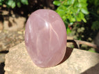 Polished Star Rose Quartz Standing Free Forms x 2 From Madagascar - Toprock Gemstones and Minerals 