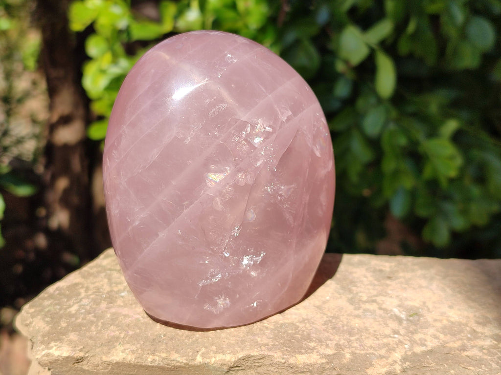 Polished Star Rose Quartz Standing Free Forms x 2 From Madagascar - Toprock Gemstones and Minerals 
