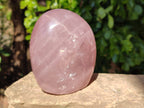 Polished Star Rose Quartz Standing Free Forms x 2 From Madagascar - Toprock Gemstones and Minerals 