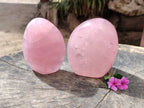 Polished Star Rose Quartz Standing Free Forms x 2 From Madagascar - Toprock Gemstones and Minerals 