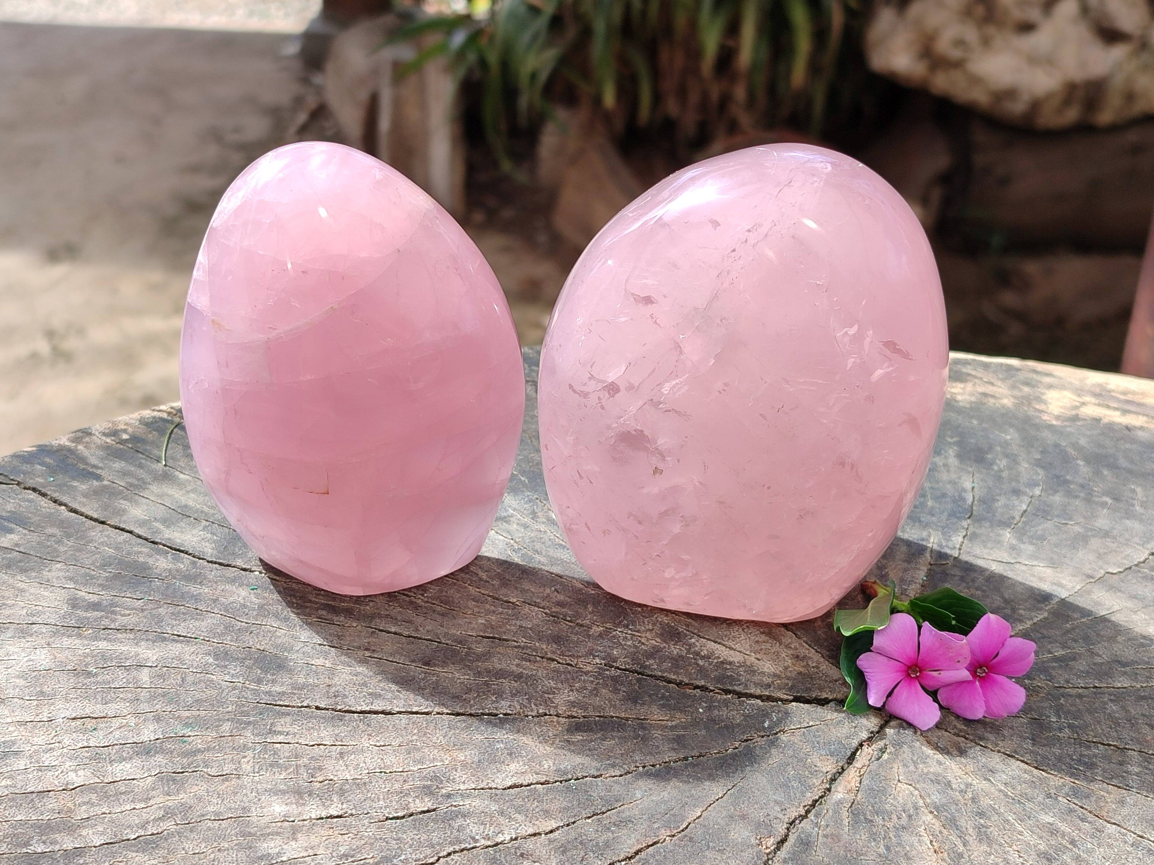 Polished Star Rose Quartz Standing Free Forms x 2 From Madagascar - Toprock Gemstones and Minerals 