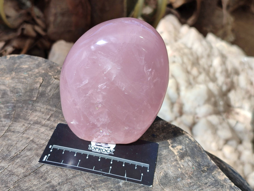 Polished Star Rose Quartz Standing Free Forms x 2 From Madagascar - Toprock Gemstones and Minerals 