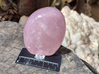 Polished Star Rose Quartz Standing Free Forms x 2 From Madagascar - Toprock Gemstones and Minerals 