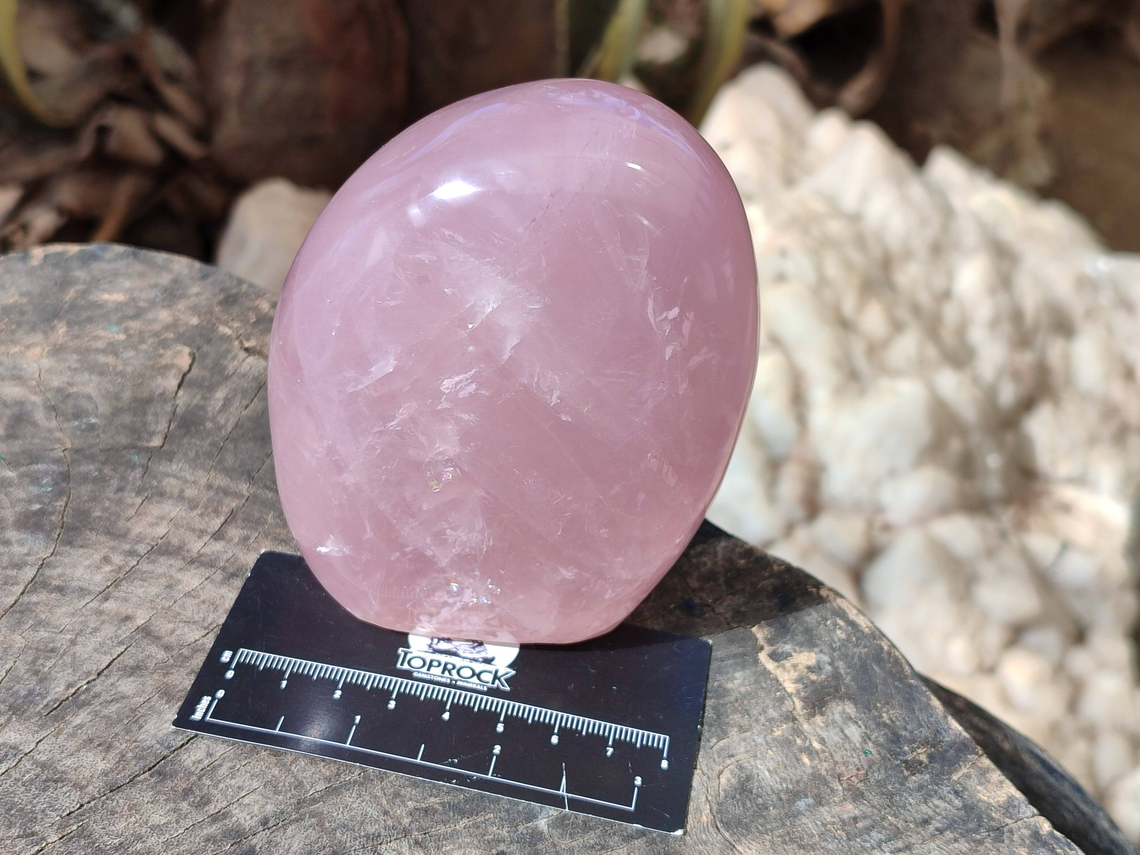 Polished Star Rose Quartz Standing Free Forms x 2 From Madagascar - Toprock Gemstones and Minerals 