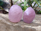 Polished Star Rose Quartz Standing Free Forms x 2 From Madagascar - Toprock Gemstones and Minerals 