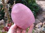 Polished Star Rose Quartz Standing Free Forms x 2 From Madagascar - Toprock Gemstones and Minerals 