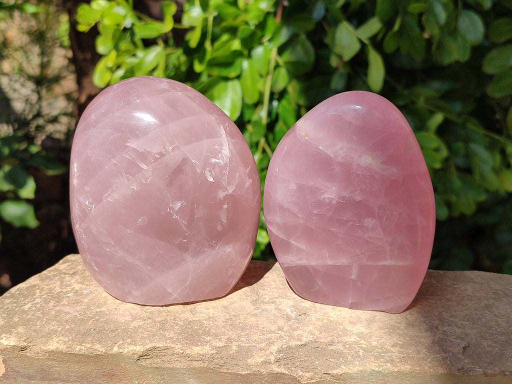 Polished Star Rose Quartz Standing Free Forms x 2 From Madagascar - Toprock Gemstones and Minerals 