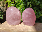 Polished Star Rose Quartz Standing Free Forms x 2 From Madagascar - Toprock Gemstones and Minerals 