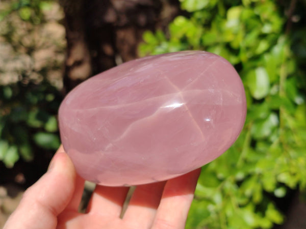 Polished Star Rose Quartz Standing Free Forms x 2 From Madagascar