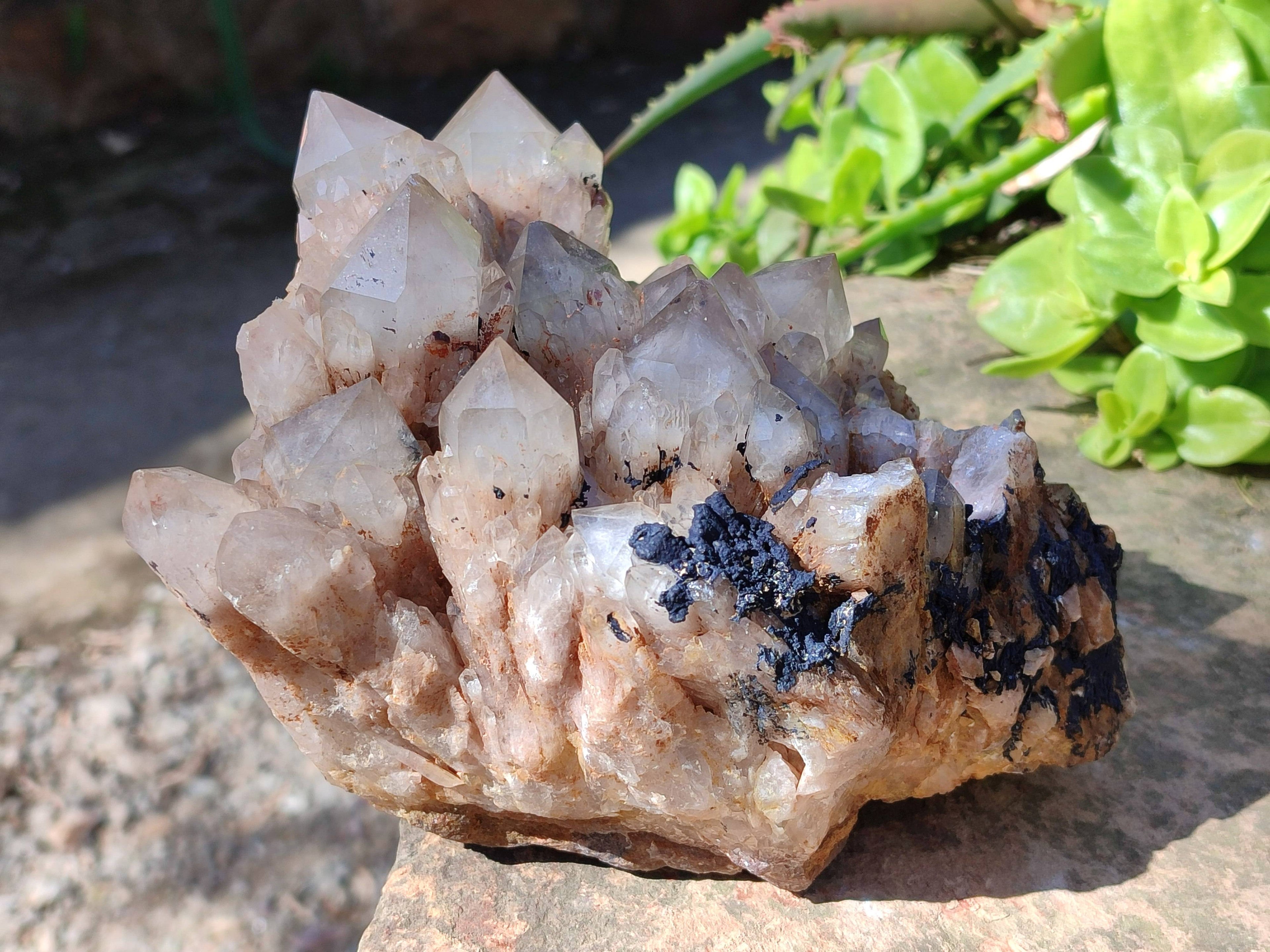 Natural Phantom Smokey Quartz Cluster x 1 From Luena, Congo - Toprock Gemstones and Minerals 