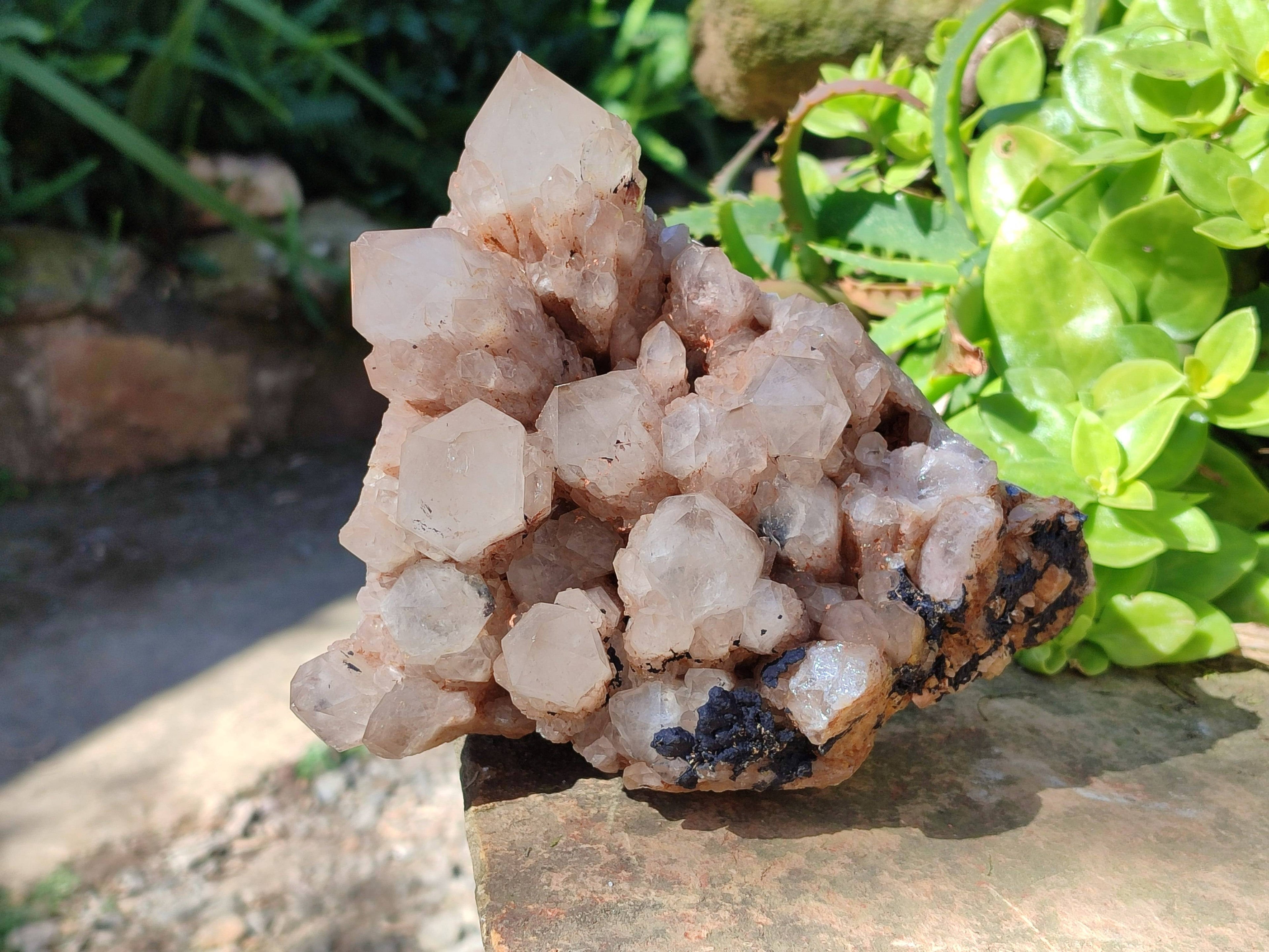 Natural Phantom Smokey Quartz Cluster x 1 From Luena, Congo - Toprock Gemstones and Minerals 