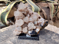 Natural Phantom Smokey Quartz Cluster x 1 From Luena, Congo