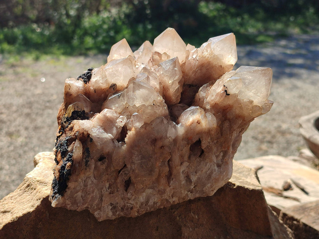 Natural Phantom Smokey Quartz Cluster x 1 From Luena, Congo - Toprock Gemstones and Minerals 