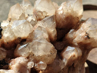 Natural Phantom Smokey Quartz Cluster x 1 From Luena, Congo