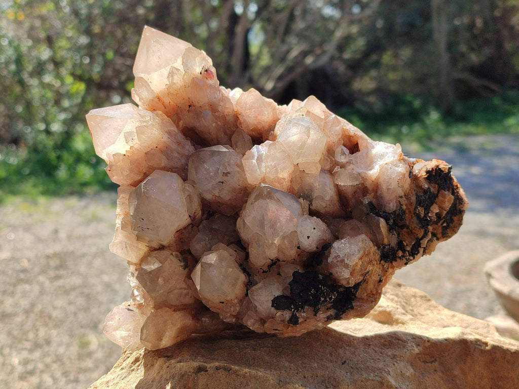 Natural Phantom Smokey Quartz Cluster x 1 From Luena, Congo - Toprock Gemstones and Minerals 