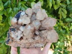Natural Phantom Smokey Quartz Cluster x 1 From Luena, Congo - Toprock Gemstones and Minerals 