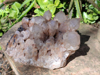 Natural Phantom Smokey Quartz Cluster x 1 From Luena, Congo