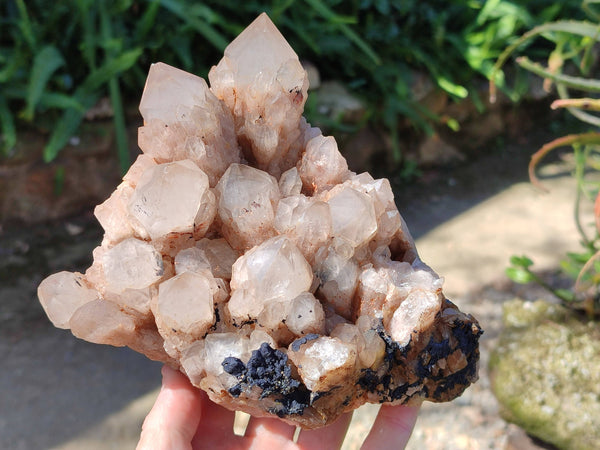 Natural Phantom Smokey Quartz Cluster x 1 From Luena, Congo