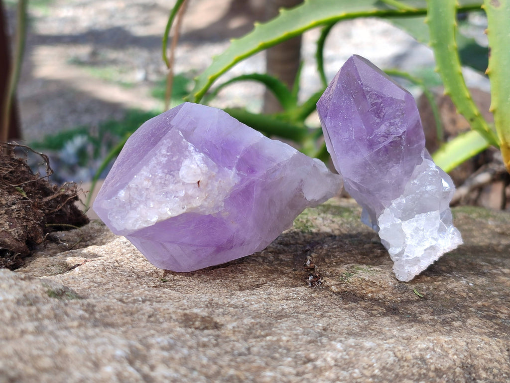 Natural Jacaranda Amethyst Crystals x 12 From Zambia - Toprock Gemstones and Minerals 