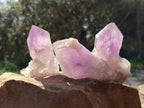 Natural Jacaranda Amethyst Crystals x 12 From Zambia - Toprock Gemstones and Minerals 
