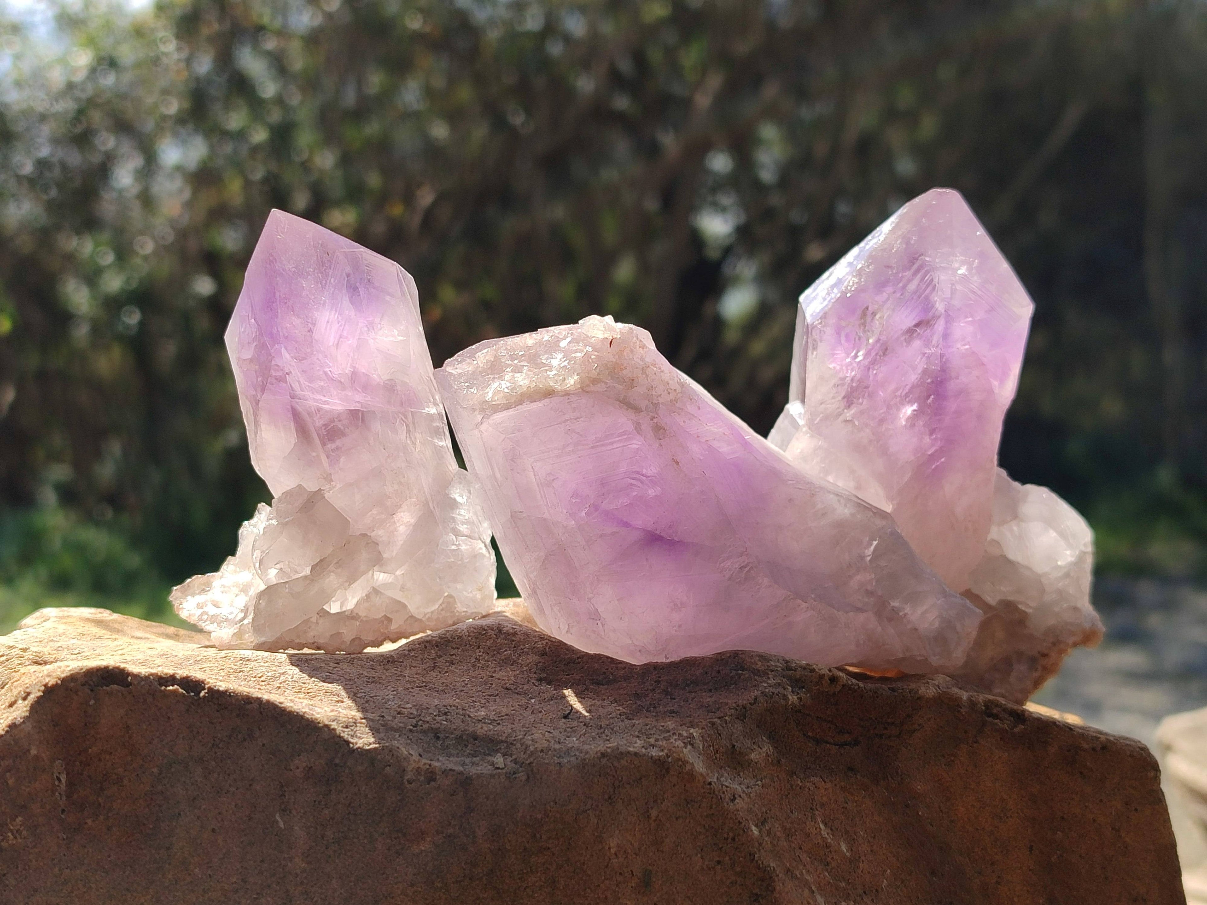Natural Jacaranda Amethyst Crystals x 12 From Zambia - Toprock Gemstones and Minerals 