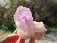 Natural Jacaranda Amethyst Crystals x 12 From Zambia