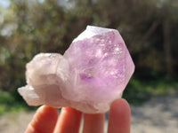 Natural Jacaranda Amethyst Crystals x 12 From Zambia