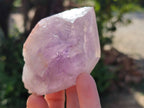 Natural Jacaranda Amethyst Crystals x 12 From Zambia - Toprock Gemstones and Minerals 