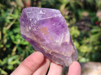 Natural Jacaranda Amethyst Crystals x 12 From Zambia