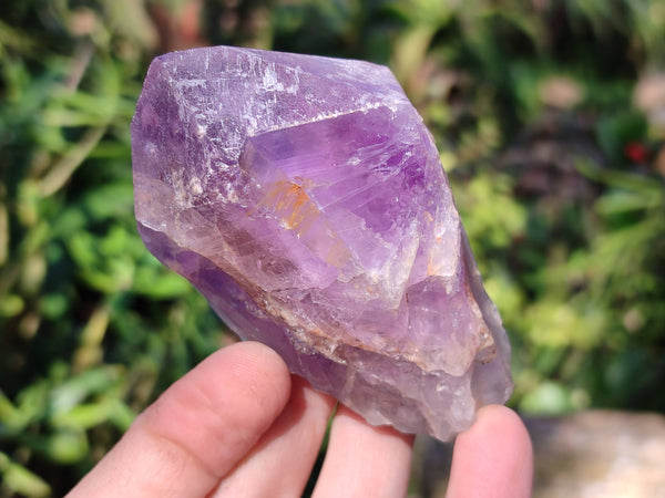 Natural Jacaranda Amethyst Crystals x 12 From Zambia
