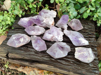 Natural Jacaranda Amethyst Crystals x 12 From Zambia
