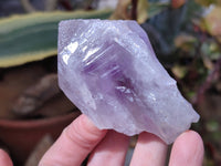 Natural Jacaranda Amethyst Crystals x 12 From Zambia